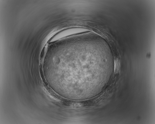 X0000116350195200912151359