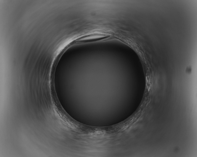 X0000116350196200912151359