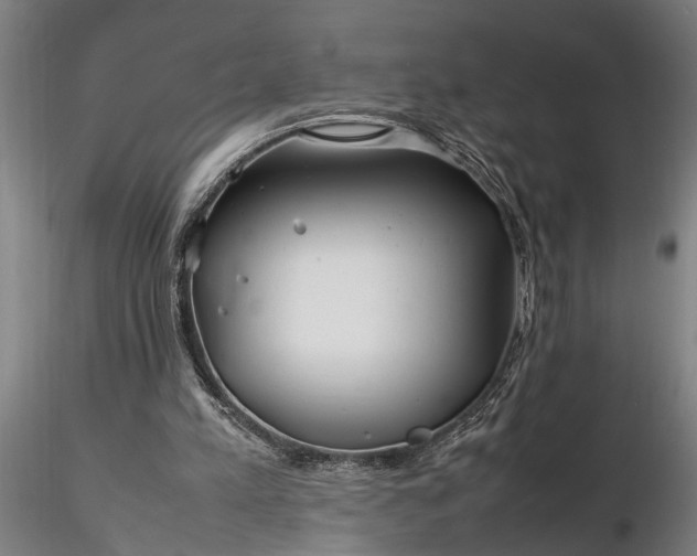 X0000116350197200912151359