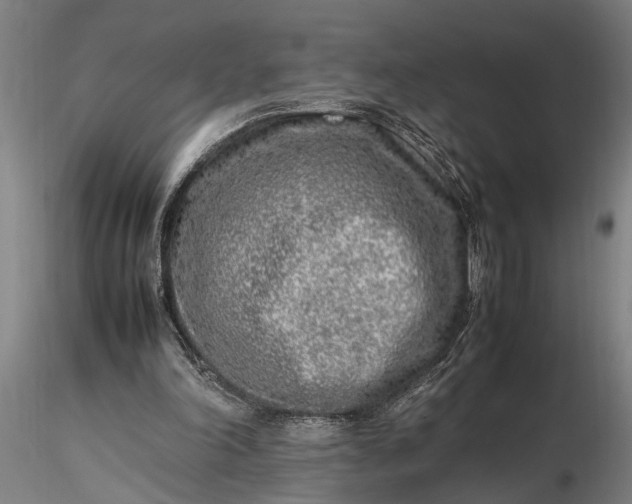 X0000116350198200912151359