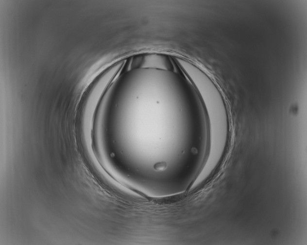 X0000116350199200912151359