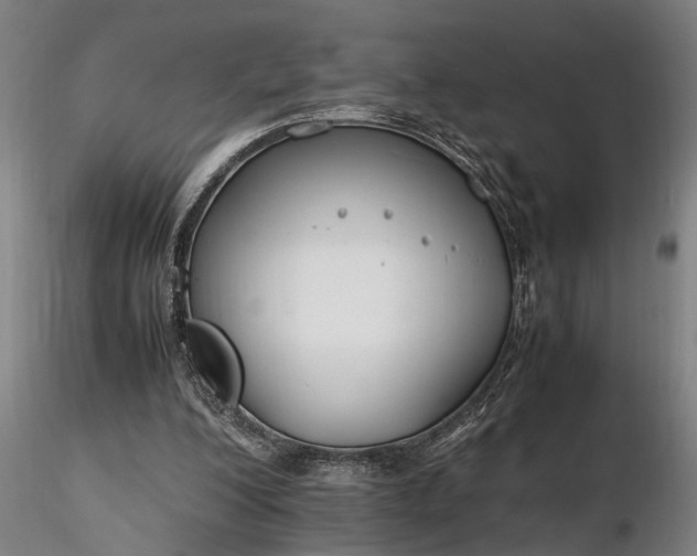 X0000116350200200912151359