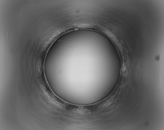 X0000116350201200912151359