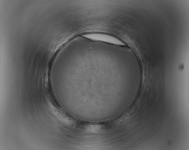 X0000116350202200912151359