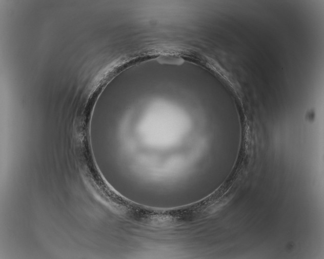 X0000116350203200912151359