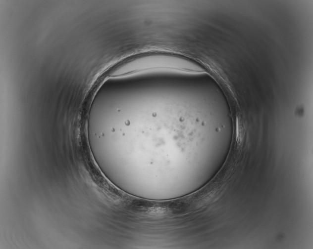 X0000116350204200912151359