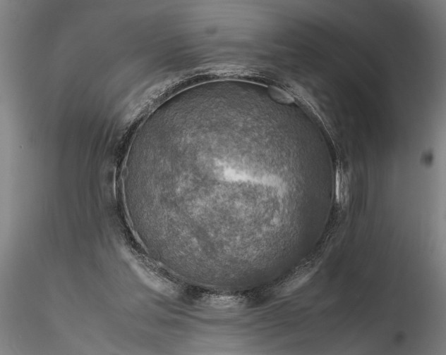 X0000116350205200912151359