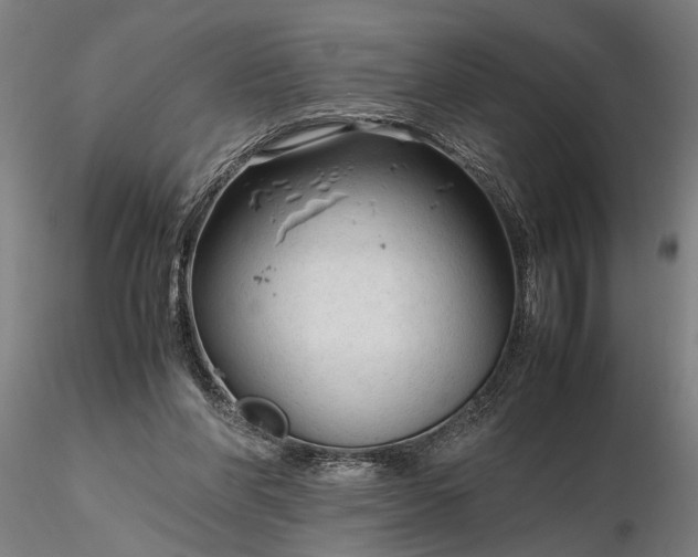 X0000116350206200912151359