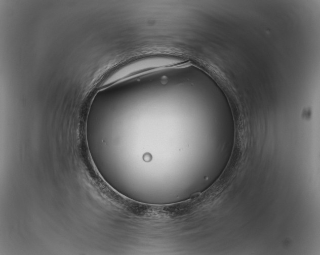 X0000116350207200912151359