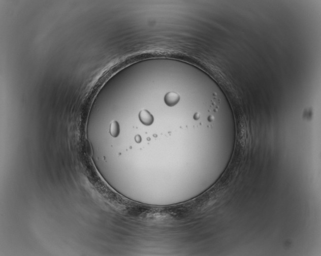 X0000116350208200912151359