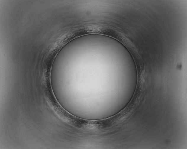 X0000116350209200912151359