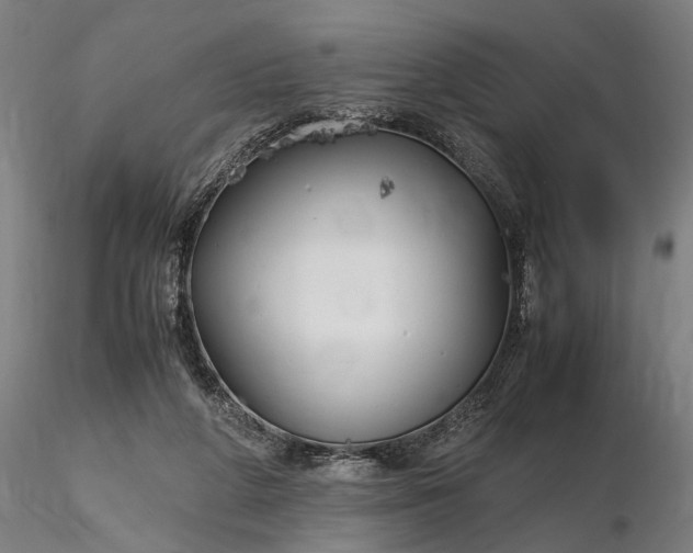 X0000116350210200912151359