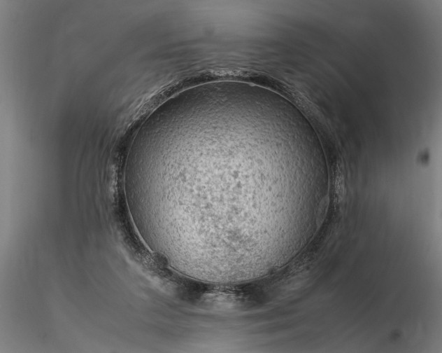 X0000116350211200912151359