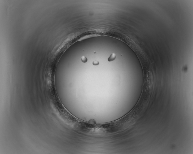 X0000116350212200912151359