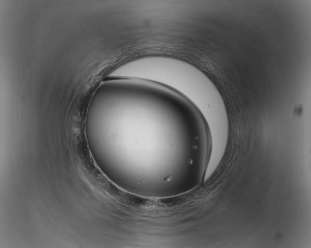 X0000116350215200912151359