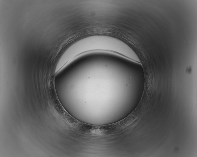 X0000116350216200912151359