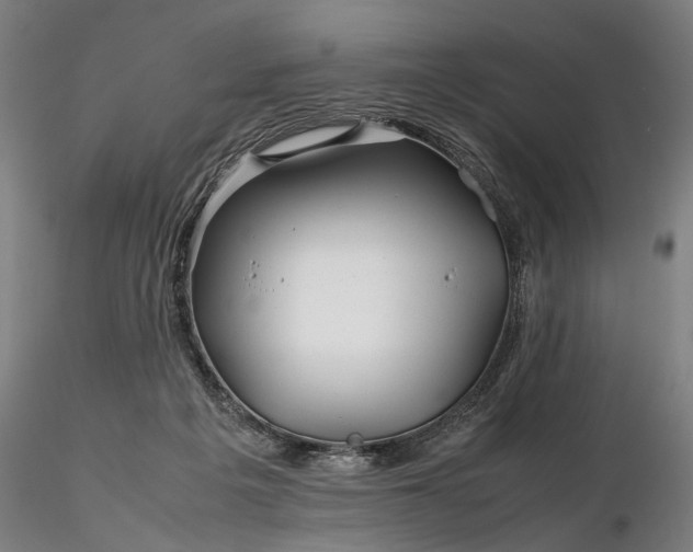 X0000116350217200912151359