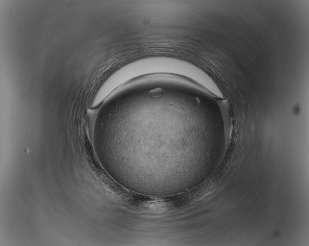 X0000116350219200912151359