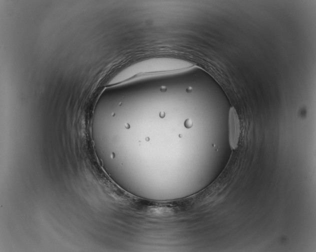 X0000116350220200912151359