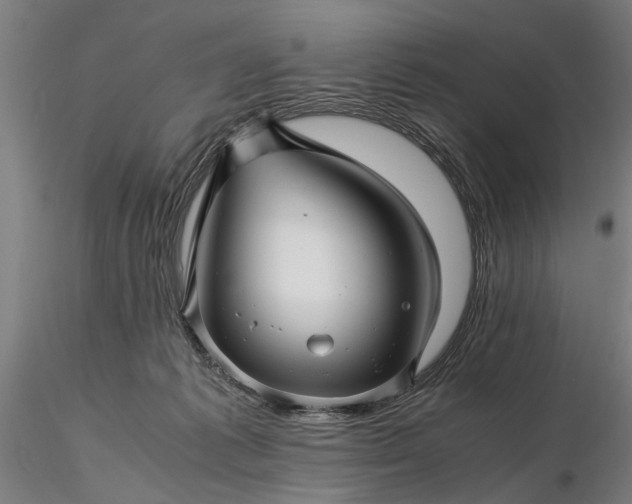 X0000116350221200912151359