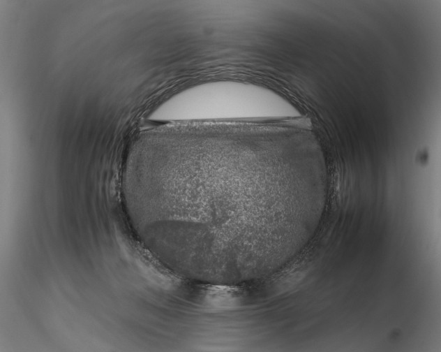 X0000116350222200912151359