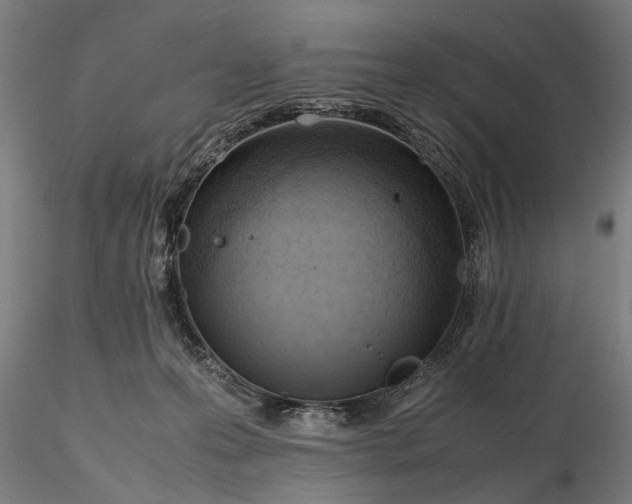 X0000116350223200912151359