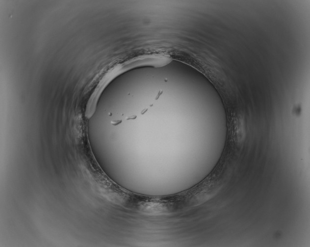 X0000116350224200912151359