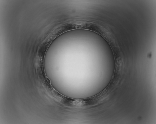 X0000116350225200912151359