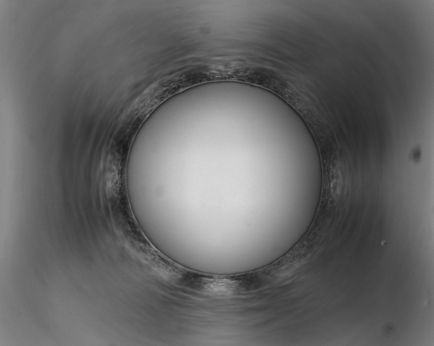 X0000116350226200912151359