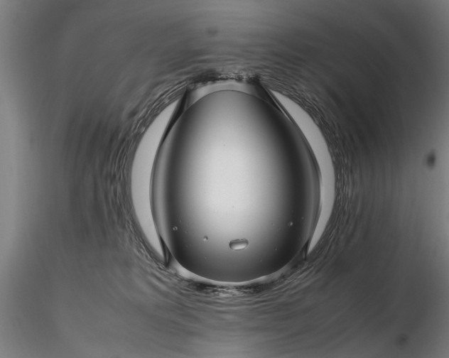 X0000116350229200912151359