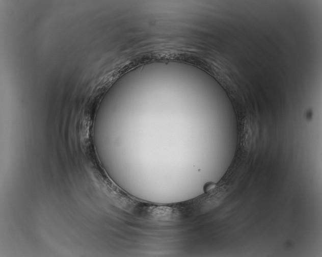 X0000116350230200912151359