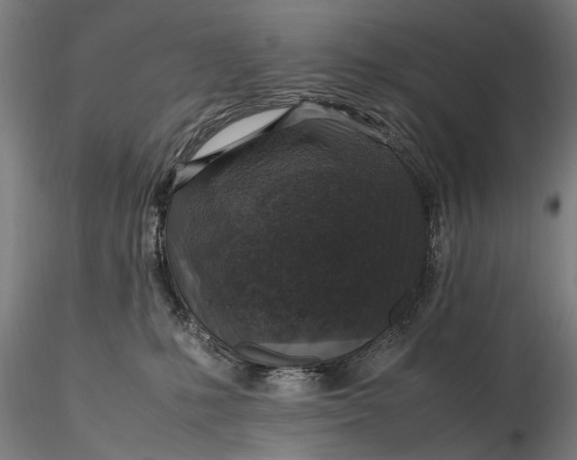 X0000116350231200912151359