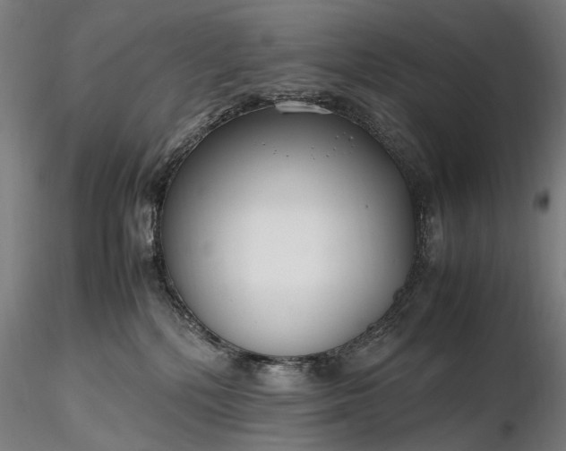 X0000116350232200912151359