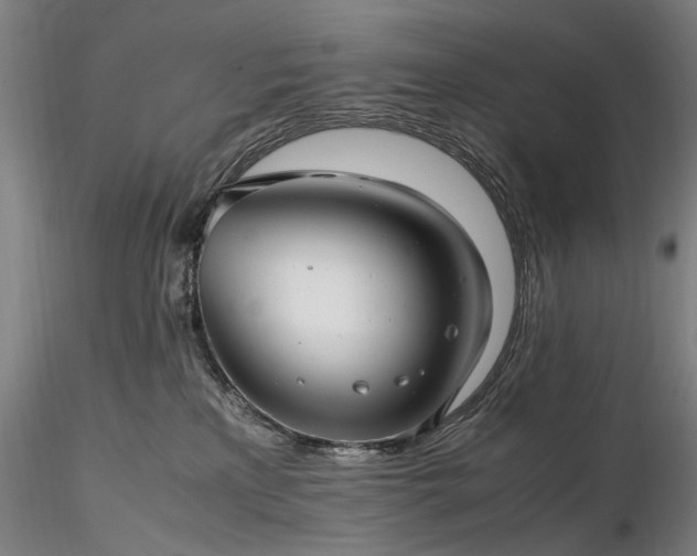 X0000116350233200912151359