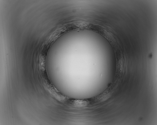 X0000116350234200912151359