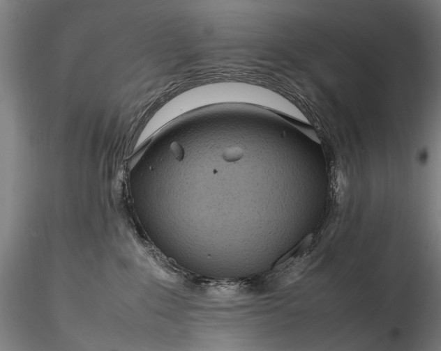 X0000116350235200912151359