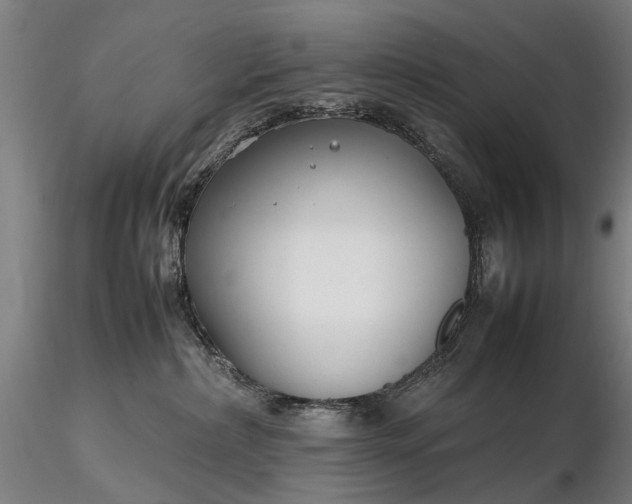 X0000116350236200912151359