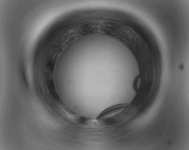 X0000116350239200912151359