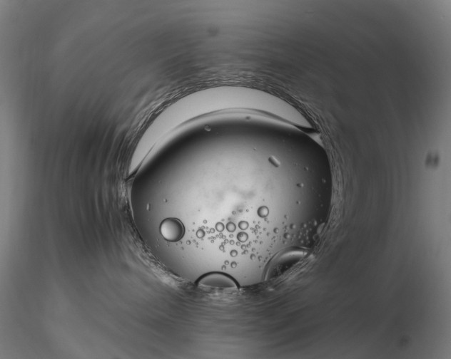 X0000116350240200912151359