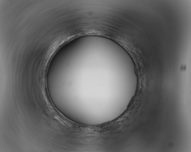 X0000116350241200912151358