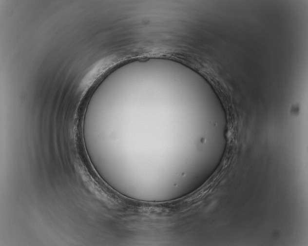 X0000116350242200912151358