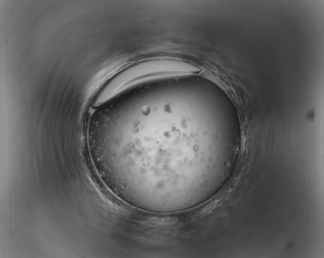 X0000116350245200912151358