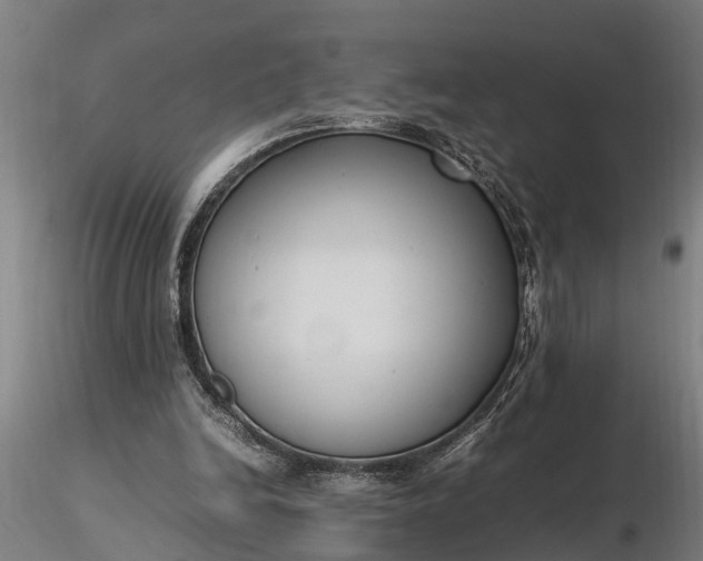 X0000116350246200912151358