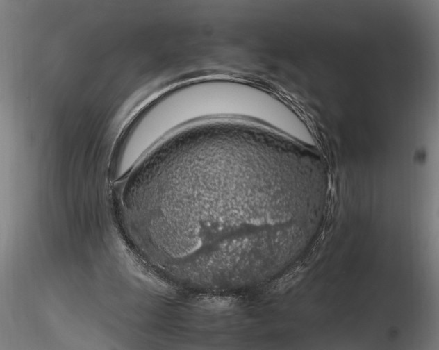 X0000116350247200912151358