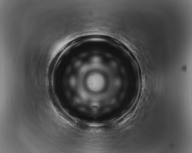 X0000116350248200912151358