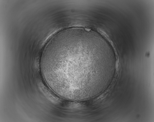 X0000116350249200912151358