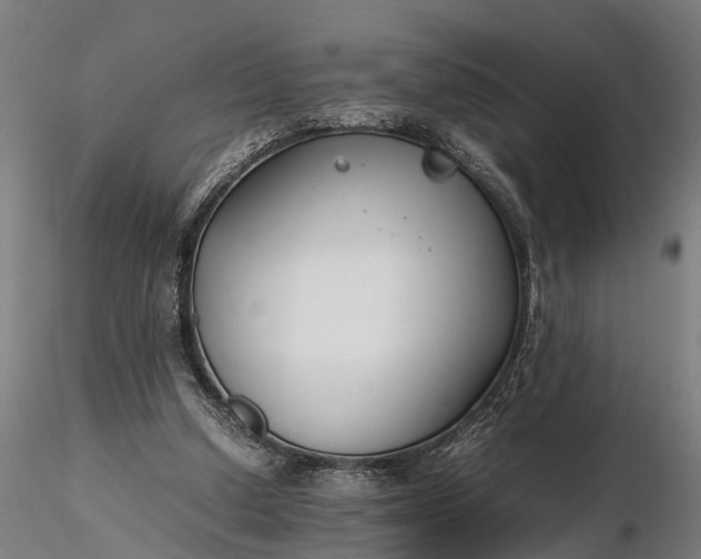 X0000116350250200912151358