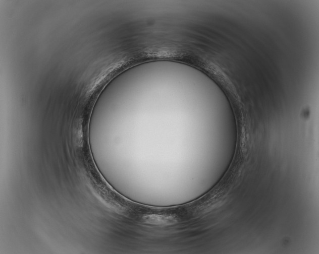 X0000116350251200912151358