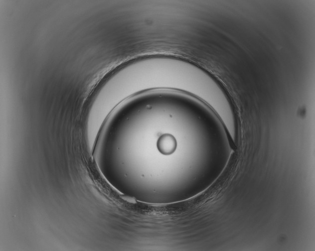 X0000116350252200912151358