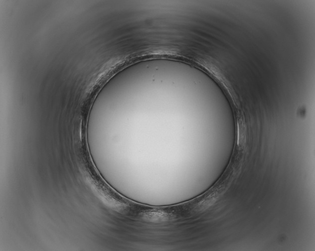 X0000116350253200912151358